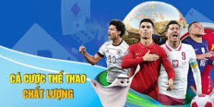Đánh giá chi tiết các môn thể thao được yêu thích trên 12Bet